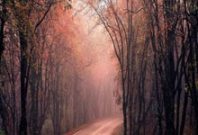 [NBA]亚历山大27分12助 雷霆主场大胜公牛.