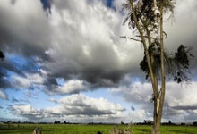 2025年世界运动会巡回赛（成都站）开幕2025-03-29.