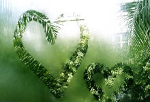 [CBA]徐杰快速反击 躲开赵继伟空中拉杆命中.